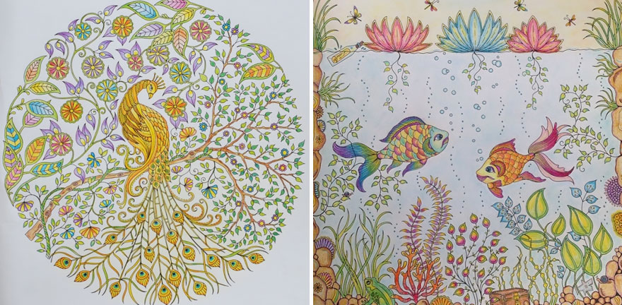 Artist's Adult Coloring Books Sell Over a Million Copies