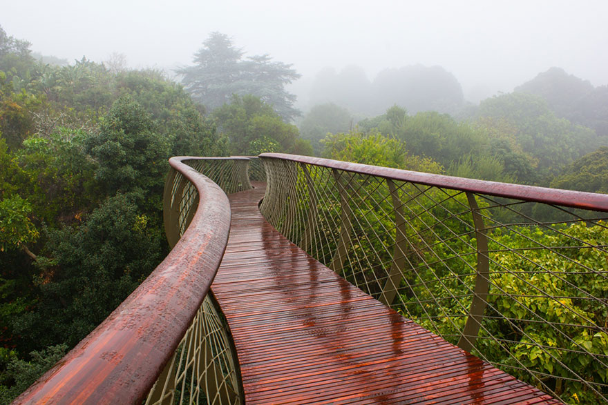 Canopy Walkway Lets You Walk Above the Trees