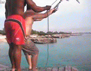 The Best Gifs