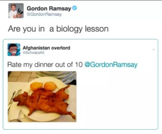 chris pratt crisp rat - Gordon Ramsay Gordon Ramsay Are you in a biology lesson Afghanistan overlord Schwipset Rate my dinner out of 10 Ramsay