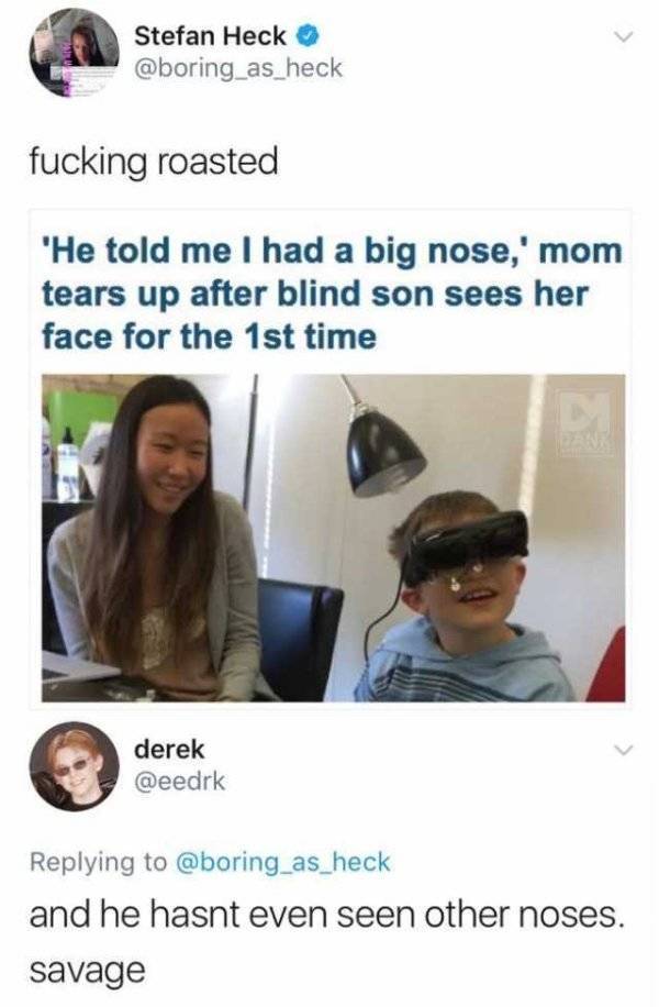 savage roasts memes - Stefan Heck fucking roasted "He told me I had a big nose,' mom tears up after blind son sees her face for the 1st time derek and he hasnt even seen other noses. savage