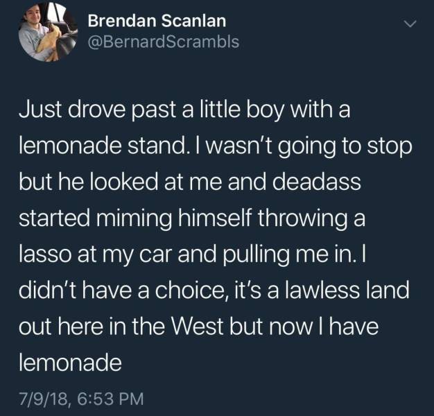 wasn t that drunk - Brendan Scanlan Just drove past a little boy with a "lemonade stand. I wasn't going to stop but he looked at me and deadass started miming himself throwing a lasso at my car and pulling me in. I didn't have a choice, it's a lawless lan