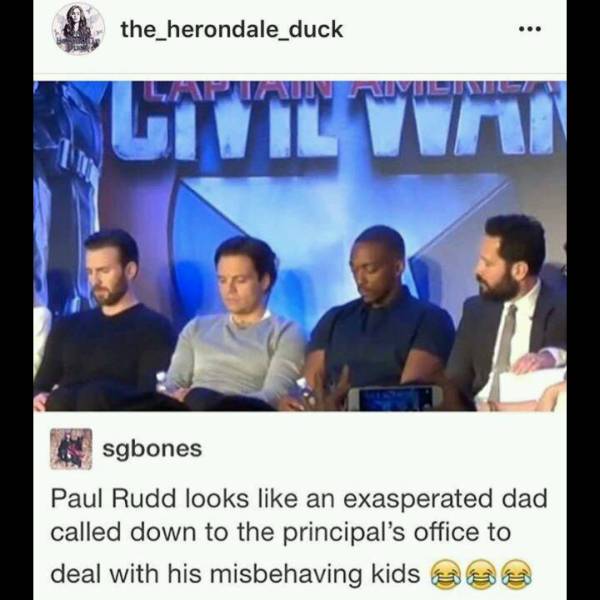 memes paul rudd - the herondale duck Un Nieuwe sgbones Paul Rudd looks an exasperated dad called down to the principal's office to deal with his misbehaving kids a s