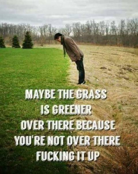 grass greener on the other side - Maybe The Grass Is Greener Over There Because You'Re Not Over There Fucking It Up
