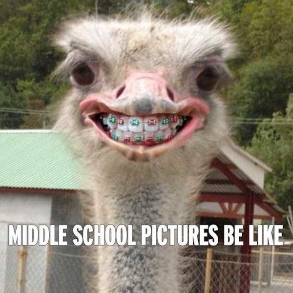 middle school pictures be like meme - Middle School Pictures Be