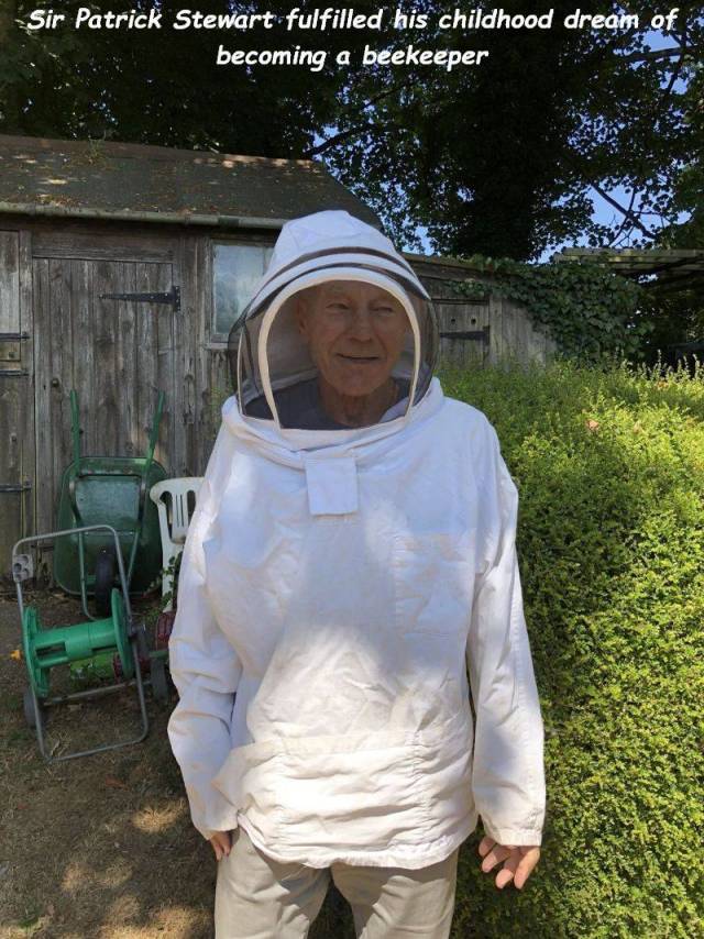 patrick stewart beekeeper - Sir Patrick Stewart fulfilled his childhood dream of becoming a beekeeper