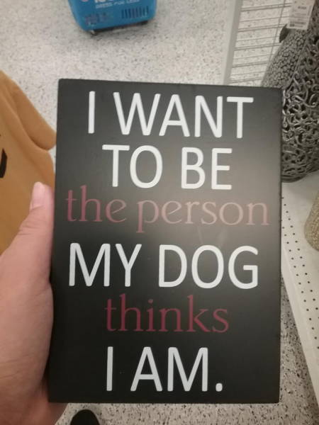 book - I Want To Be the person My Dog thinks Lam.