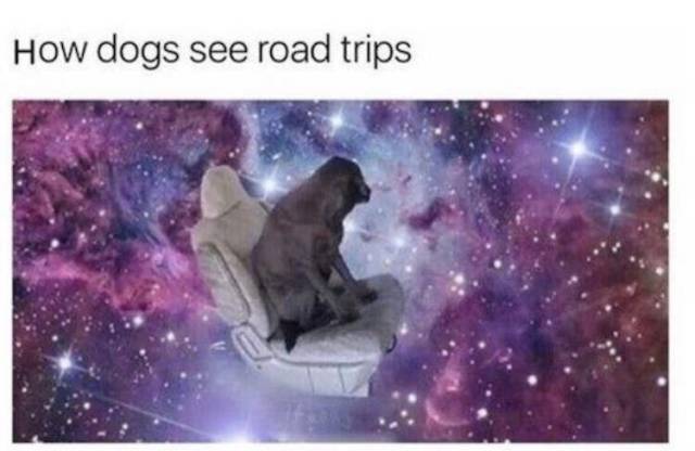 37 Funny AF Memes And Things To Get You Going