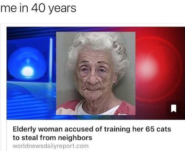 do you see yourself meme - me in 40 years Elderly woman accused of training her 65 cats to steal from neighbors worldnewsdailyreport.com