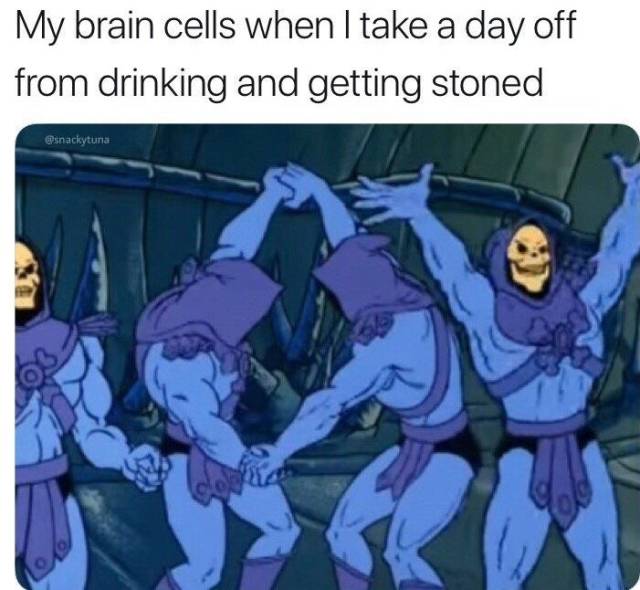 masters of the universe meme - My brain cells when I take a day off from drinking and getting stoned snackytuna