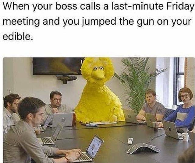 rdr2 memes - When your boss calls a lastminute Friday meeting and you jumped the gun on your edible.