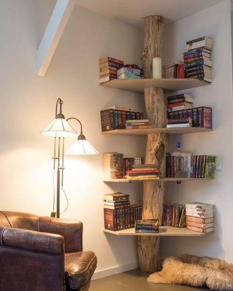 cozy personal library