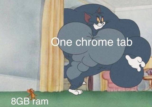 chrome memes - One chrome tab 8GB ram
