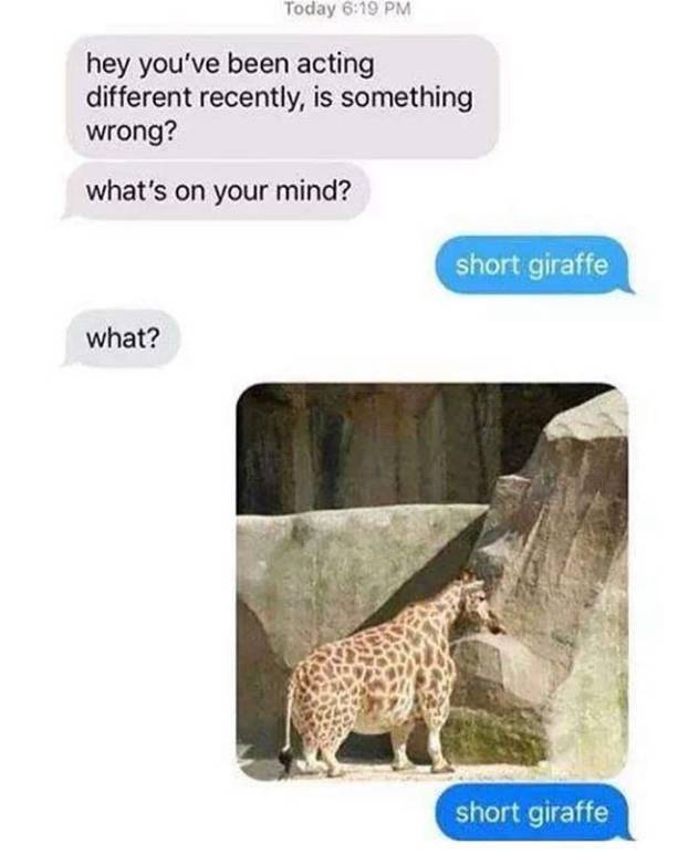 giraffe memes - Today hey you've been acting different recently, is something wrong? what's on your mind? short giraffe what? short giraffe