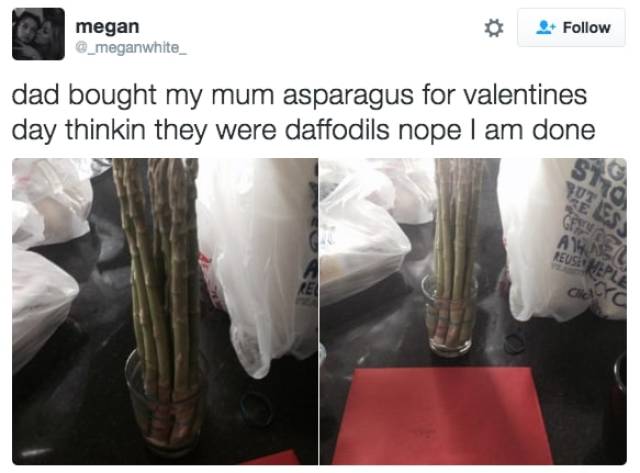 asparagus daffodils - megan dad bought my mum asparagus for valentines day thinkin they were daffodils nope I am done Al Reuse Celra