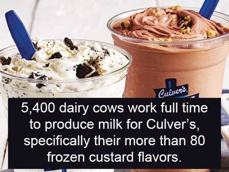 culvers frozen custard - Culver's 5,400 dairy cows work full time to produce milk for Culver's, specifically their more than 80 frozen custard flavors.