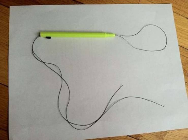 Create a lasso that removes ticks with a mechanical pencil and string.