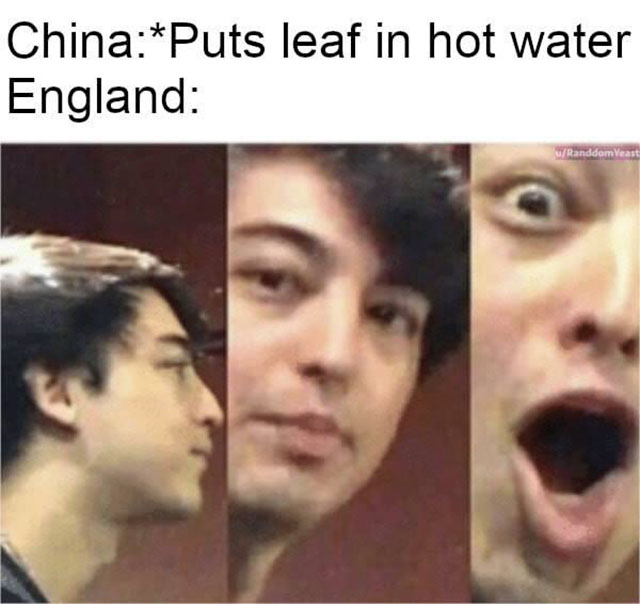 idubbbz memes - ChinaPuts leaf in hot water England uRanddom Yeast