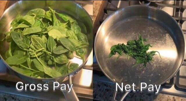 gross pay vs net pay meme - Gross Pay Net Pay