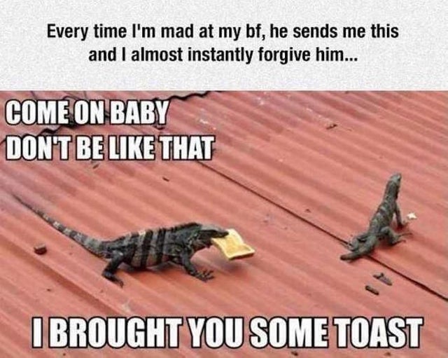 brought you some toast - Every time I'm mad at my bf, he sends me this and I almost instantly forgive him... Come On Baby Don'T Be That Ibrought You Some Toast
