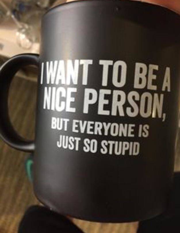 mug - Iwant To Be A Nice Person, But Everyone Is Just So Stupid