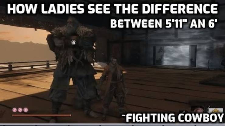 pc game - How Ladies See The Difference Between 5'11" An 6' Fighting Cowboy