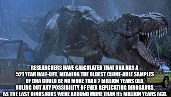 jurassic park t rex paddock scene - Researchers Have Calculated That Dna Has A 5521 Year HalfLife, Meaning The Oldest CloneAble Samples Of Dna Could Be No More Than 2 Million Years Ol. Ruling Out Any Possibility Of Ever Replicating Dinosaurs. As The Last 