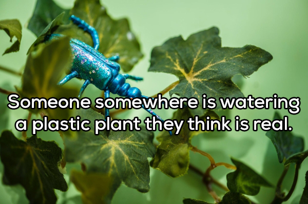 showerthought - bunratty castle - Someone somewhere is watering a plastic plant they think is real.