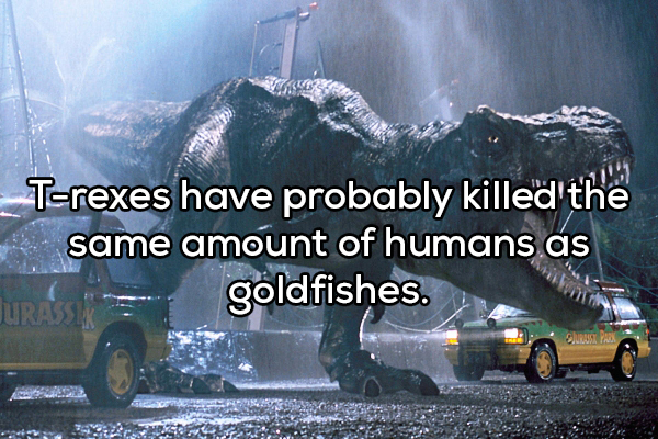 showerthought - jurassic park t rex scene - Trexes have probably killed the same amount of humans as goldfishes. Jurassi