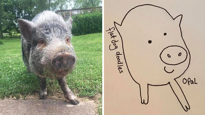 Guy's Drawings Of His Dog Are More Than Close Enough