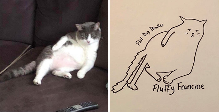 Guy's Drawings Of His Dog Are More Than Close Enough