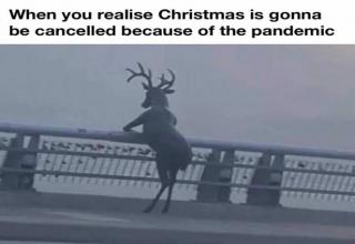 Humour - When you realise Christmas is gonna be cancelled because of the pandemic