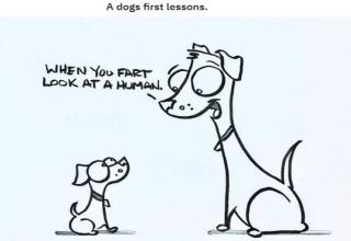 cartoon - A dogs first lessons. When You Fart Look At A Humani.