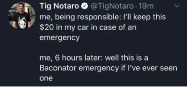 lyrics - Tig Notaro . 19m me, being responsible I'll keep this $20 in my car in case of an emergency me, 6 hours later well this is a Baconator emergency if I've ever seen one