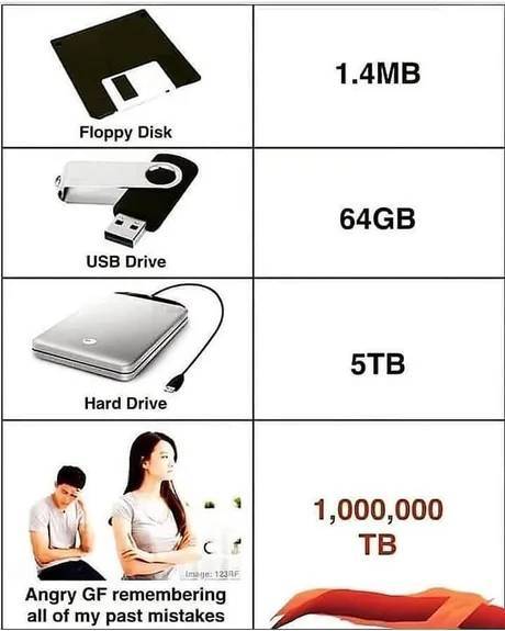 angry gf - 1.4MB Floppy Disk 64GB Usb Drive 5TB Hard Drive 1,000,000 Tb Image 1231 Angry Gf remembering all of my past mistakes