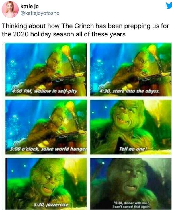 grinch quotes - katie jo Thinking about how the Grinch has been prepping us for the 2020 holiday season all of these years , wallow in selfpity , stare into the abyss. o'clock, solve world hunger Tell no one! , jazzercise , dinner with me. I can't cancel 
