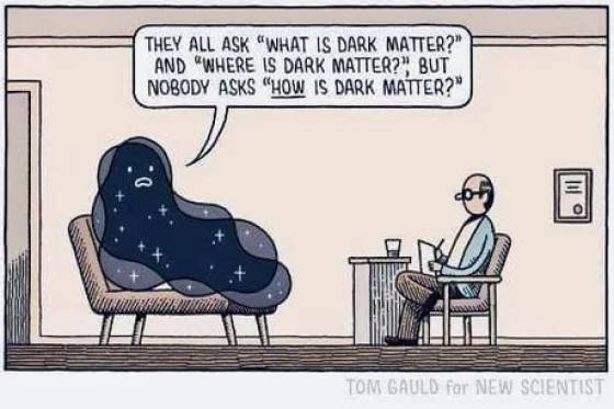 Dark matter - They All Ask "What Is Dark Matter?" And Where Is Dark Matter?" But Nobody Asks "How Is Dark Matter?" o Il Tom Gauld for New Scientist