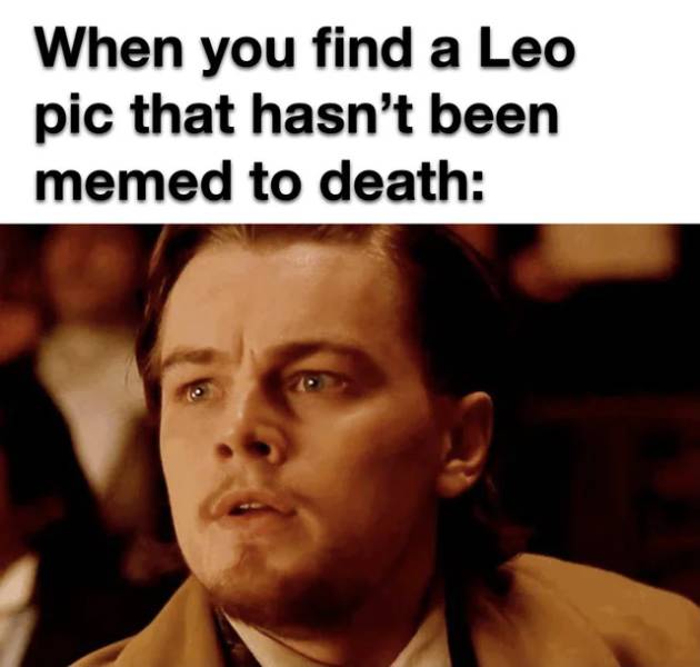 photo caption - When you find a Leo pic that hasn't been memed to death