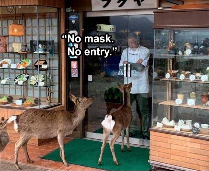 711 No mask. No entry."