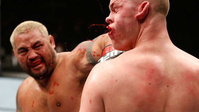 A Damn Fine Collection Of MMA Photography