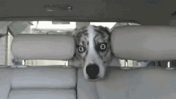 When Im in the car and my girlfriend is driving.