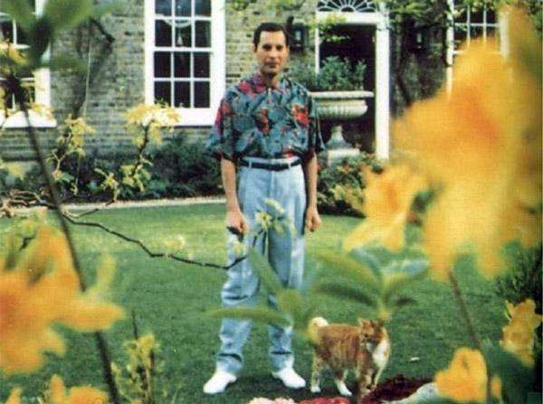 Freddie Mercury - 
Taken in 1991. Mercury died November 24, 1991, of bronchial pneumonia due to AIDS.