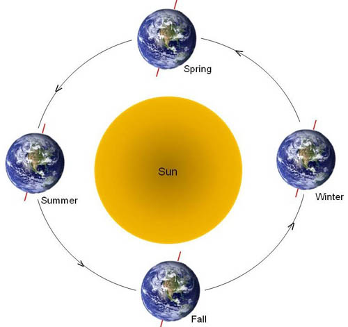 The tilt of the Earth's axis, not its distance to the Sun (which is a star), causes different seasons.