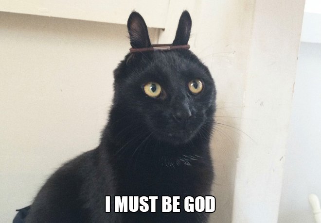 Just cat thoughts black cat easter bunny - I Must Be God