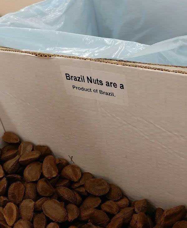 Captain Obvious - Brazil Nuts are a Product of Brazil.