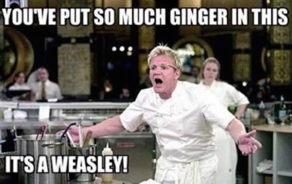 gordon ramsay gordon ramsay meme weasley - You'Ve Put So Much Ginger In This To It'S A Weasley!