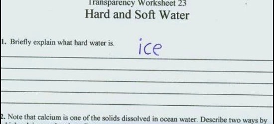 Awesome Incorrect Answers From Kids