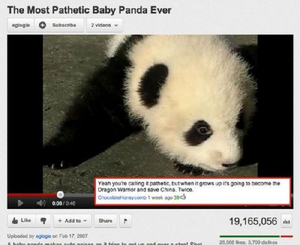 youtube funny youtube ad comments - The Most Pathetic Baby Panda Ever elogio Subscribe 2 videos Yeah youre calling it pathetic, but when it grows up it's going to become the Dragon Warrior and save China. Twice Chocolatationeycomb 1 wook ago 39 0 0.03 7 A