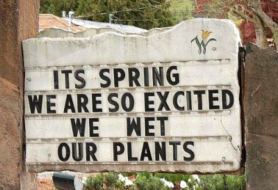 it's spring we re so excited we wet our plants - Its Spring We Are So Excited We Wet Our Plants