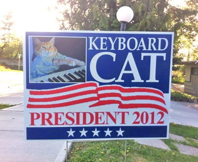 funny election signs - Keyboard Cat President 2012